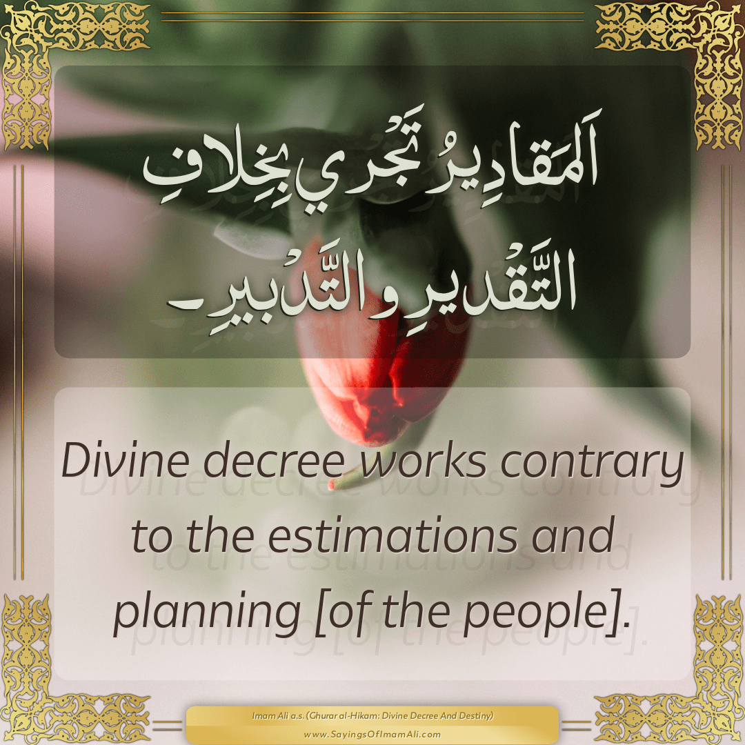 Divine decree works contrary to the estimations and planning [of the...